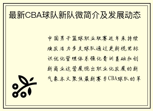 最新CBA球队新队微简介及发展动态